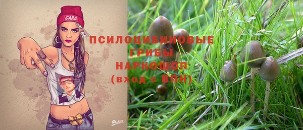 бошки Алексеевка