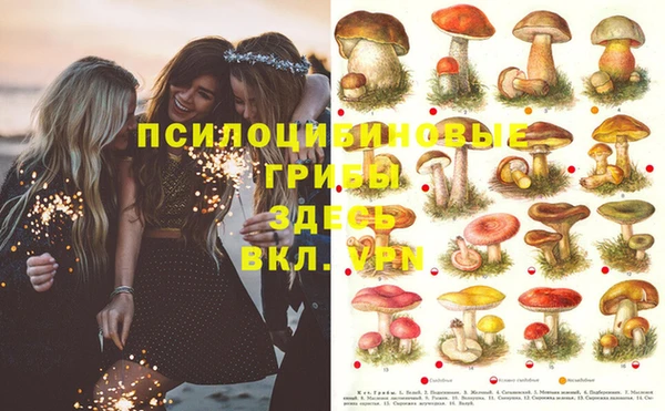 бошки Алексеевка