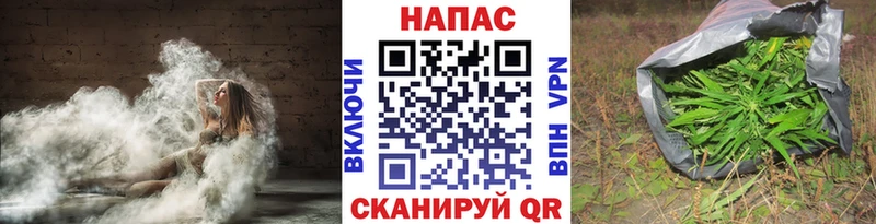Купить закладки  Белозерск  Конопля план 